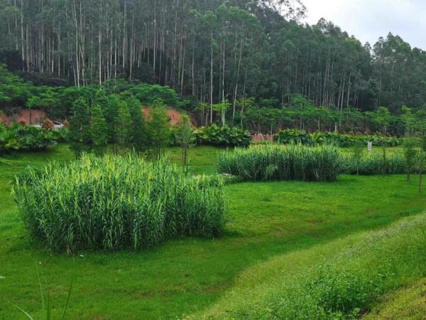 孤獨時與文字聊天