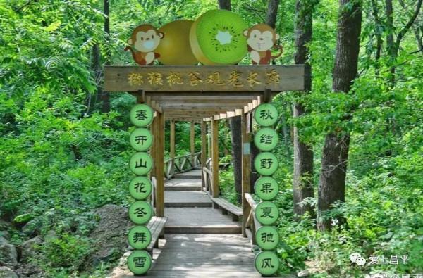 中秋好天氣,秋高氣爽爬山賞花過佳節! 中秋好天氣,秋高氣爽爬山賞花過佳節!