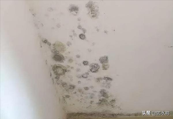 如何解決下雨時內牆滲漏水的尷尬? 如何解決下雨時內牆滲漏水的尷尬?