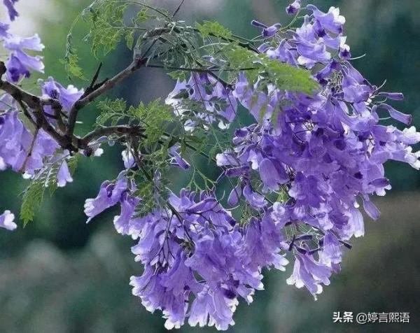 愛自己，是一生浪漫的開始