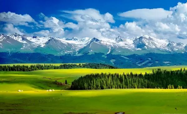 天山畫廊東大塘 純粹的令人神往