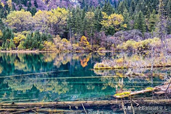 分享——令人迷幻的九寨溝