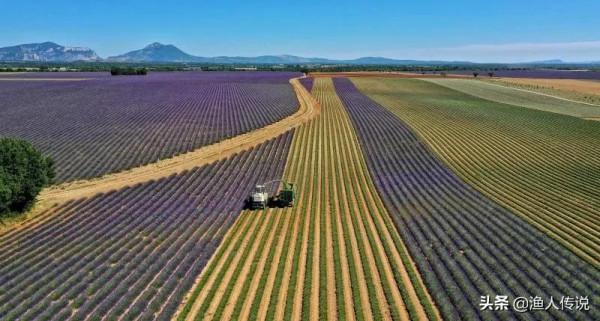 “葡萄牙”現狀,帶你看看真實的葡萄牙 “葡萄牙”現狀,帶你看看真實的葡萄牙