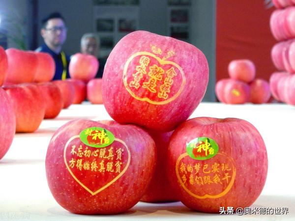 關於三秦之地“陝西”的20個冷知識,你知道幾個? 關於三秦之地“陝西”的20個冷知識,你知道幾個?