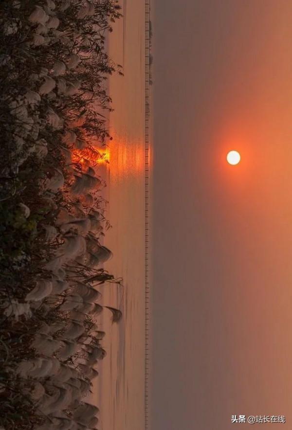 霸屏預警！美！滴！很