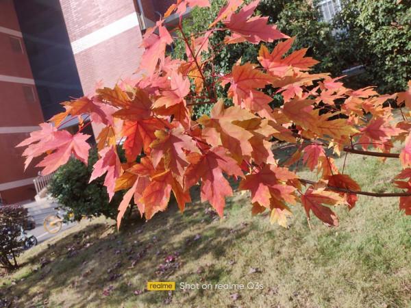 日用拍照全覆蓋,realmeQ3s評測相機篇 日用拍照全覆蓋,realmeQ3s評測相機篇