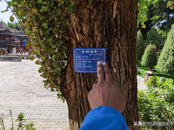 漢EV自駕甘肅，免費停車的充電樁最方便，參觀亞洲最大室內臥佛