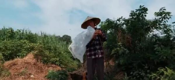 什麼木材適合做扁擔？老木匠用3句話，給出3個不同的答案