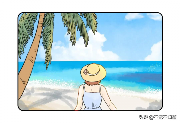 養貓前後對比，你是第幾個？