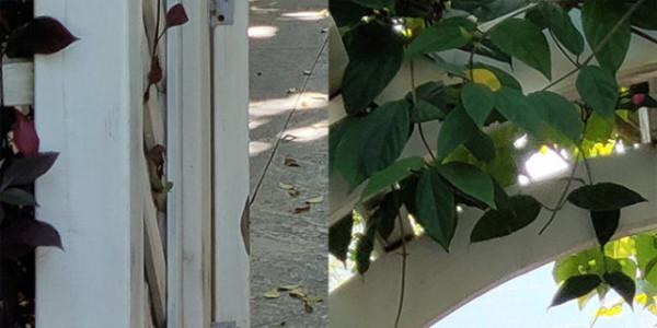 一起回顧一下魅族16sPro吧！還有人在用嗎？