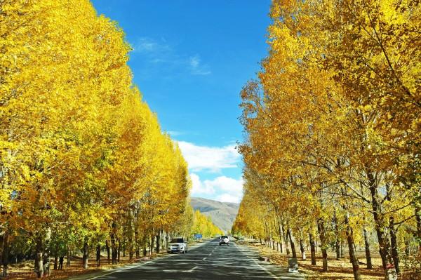 最美西藏顏色——西藏的秋天 最美西藏顏色——西藏的秋天