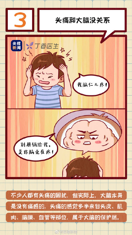 get冷知識！人的腦袋裡真的有水