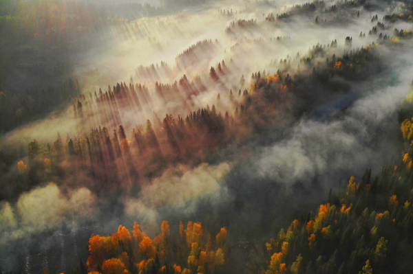 美到令人心醉的喀納斯，堪稱人間仙境，此生必定要去一次的地方
