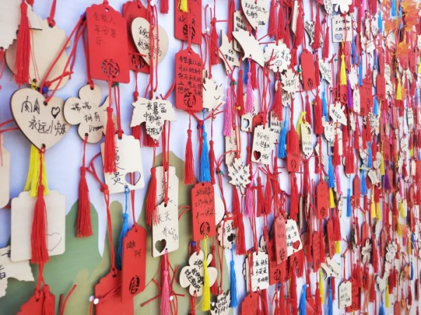 簡直不要太嗨~訾大莊楓葉林，我們明年再約