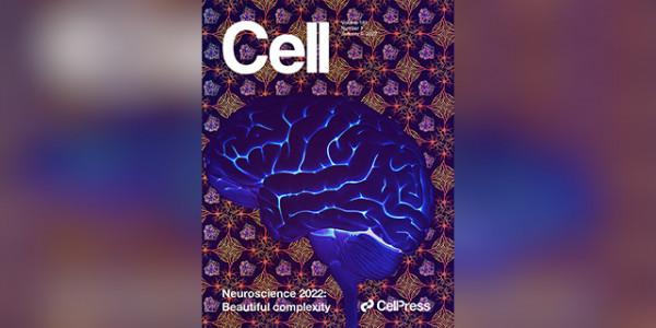 Cell等5文聚焦：多視角剖析腸屏障修復