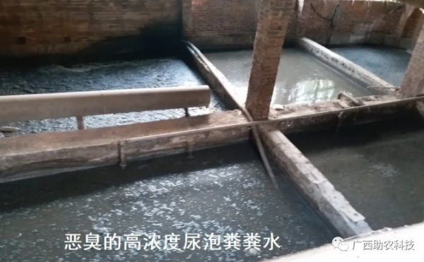 環保新政策出臺,政策依舊收緊,養殖戶要注意這幾點以及解決對策 環保新政策出臺,政策依舊收緊,養殖戶要注意這幾點以及解決對策