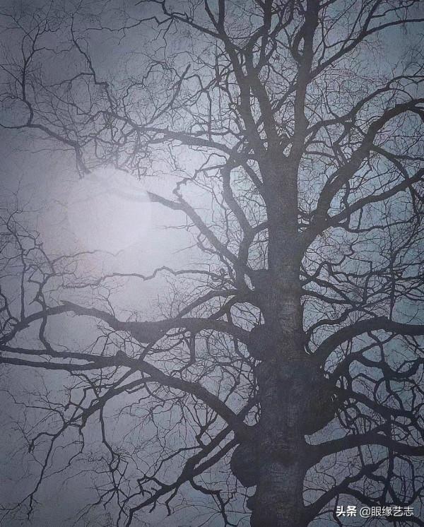 1440個小時的涅槃之畫：黎明之樹，佐藤裕一郎的心之風景