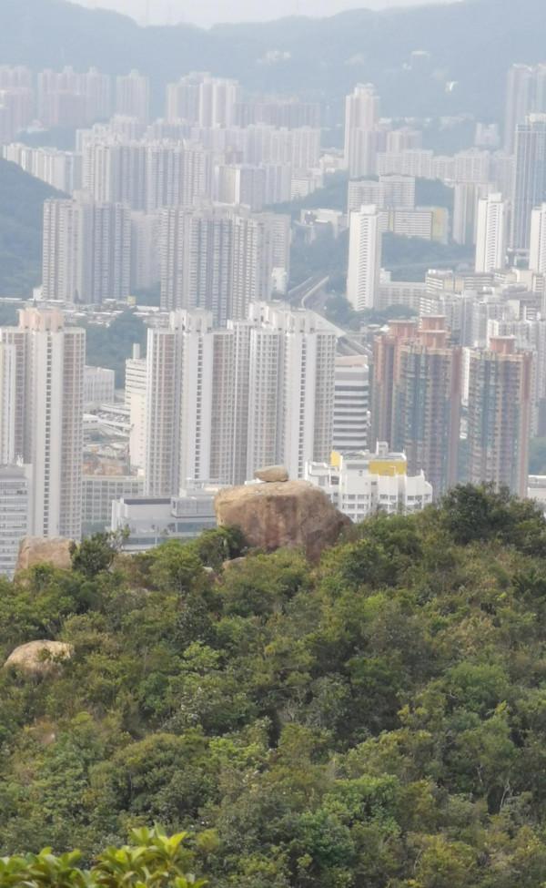 探險香港陽元石，路途崎嶇比較危險，需要資深的行山人士帶路