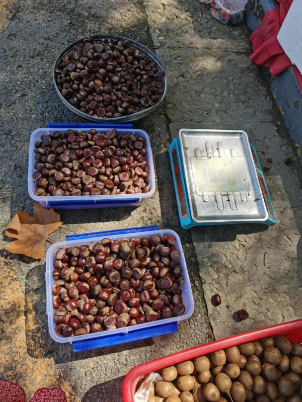 中秋假期近郊遊