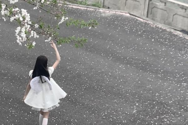 抗壓能力極強的星座,不管在什麼環境都能生存,堅韌不拔易成大事 抗壓能力極強的星座,不管在什麼環境都能生存,堅韌不拔易成大事