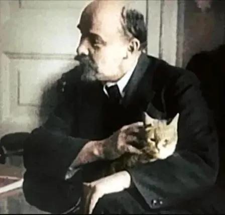 偉大的貓奴 偉大的貓奴