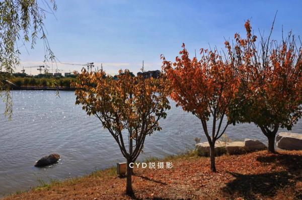 記錄南湖晚秋的色彩 記錄南湖晚秋的色彩