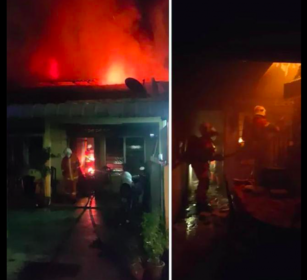 被收養的流浪狗,半夜裡被罵也要叫醒主人,沒想到竟救了一家人 被收養的流浪狗,半夜裡被罵也要叫醒主人,沒想到竟救了一家人