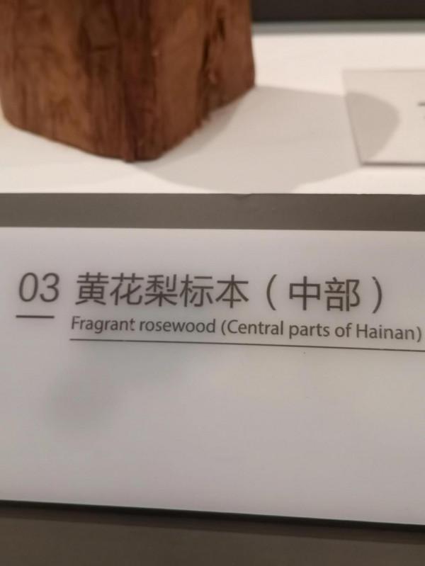 海南省博物館花梨館