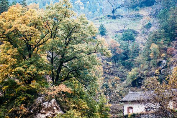 秦嶺小站，只停一分鐘