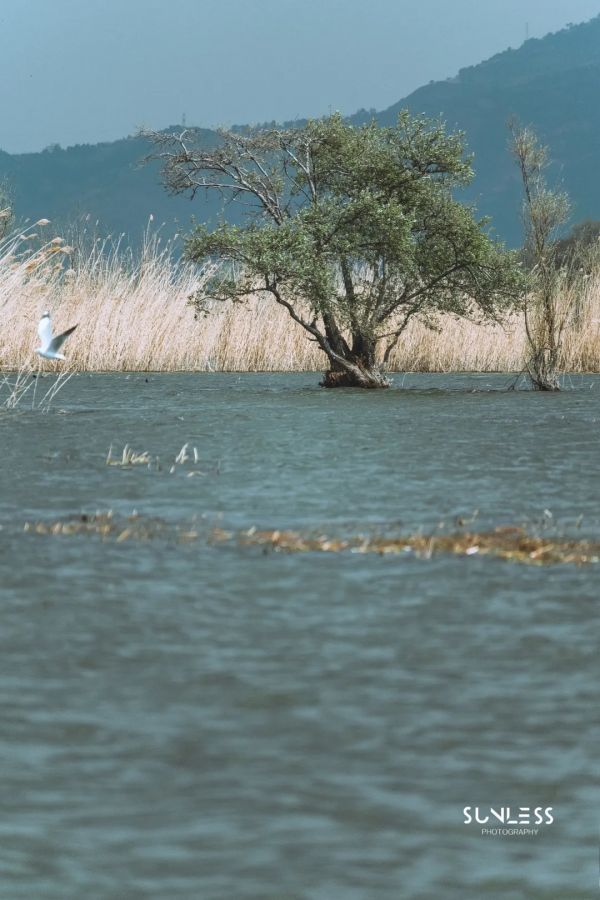 雲南西北,一個可以抵達的理想國 雲南西北,一個可以抵達的理想國