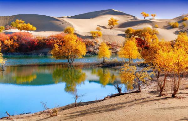 美麗風光，垃圾遍地，是誰造就了圍城一樣的景區