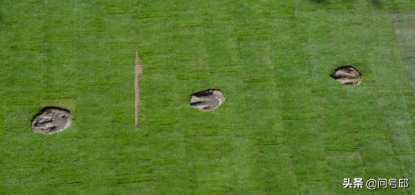 從一張侏羅紀恐龍的插圖中,探索當年地球的多樣物種和生態系統 從一張侏羅紀恐龍的插圖中,探索當年地球的多樣物種和生態系統