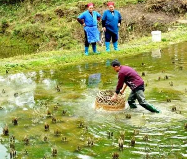 貴州有多貴？不止她的山和水，還有那份濃濃的民族情懷