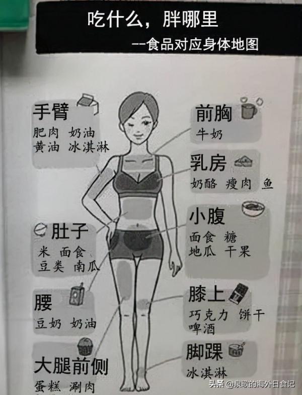 吃哪裡胖哪裡，兩張圖帶你瞭解身體區域性長肉的原因