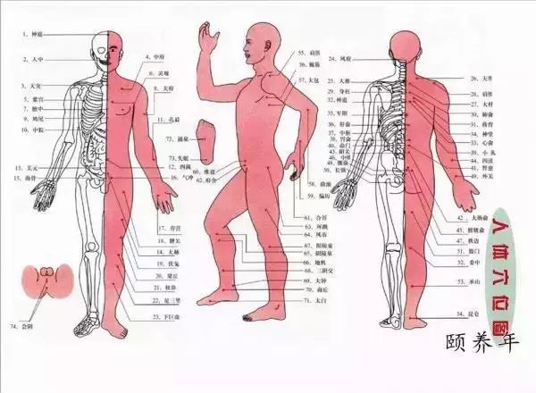 健康：人體穴位找不準？教你4個竅門，一找一個準！