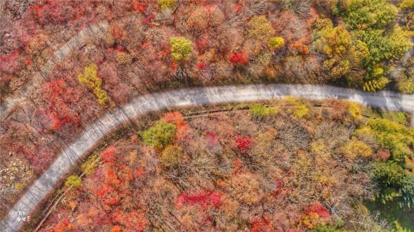 本溪有一個可以自駕遊覽的景區，觀賞紅葉絕美，今年秋天不能錯過