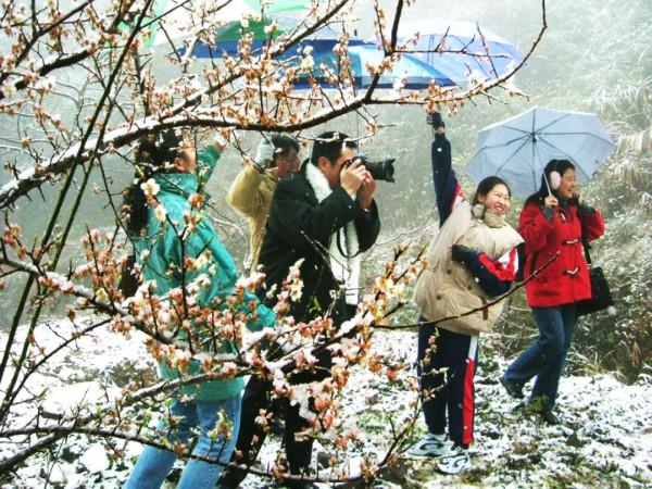 湞凌潮 │千年梅關道 百世珠璣情