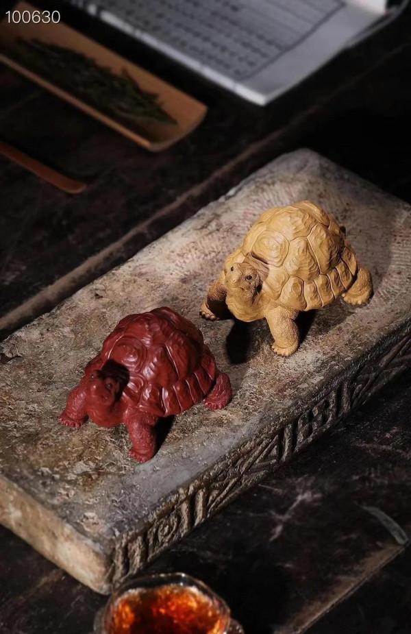 禪雲壽龜，逼真嗎？