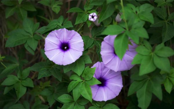 初中英語完型閱讀提分必備重點句型#英語學習#英語語法英語句型 初中英語完型閱讀提分必備重點句型#英語學習#英語語法英語句型