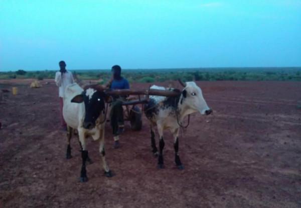 非洲最窮國家“尼日”,帶你們看看他們的真實生活 非洲最窮國家“尼日”,帶你們看看他們的真實生活