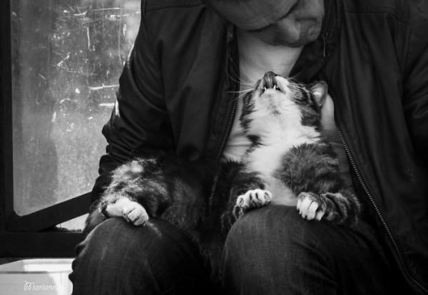 那些人和貓的親密瞬間，還有誰會不喜歡貓呢？