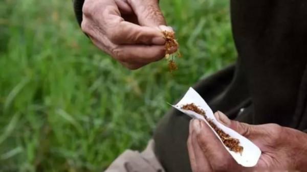 釣魚實戰，大蒜助你做“坑冠”“庫冠”“河冠”