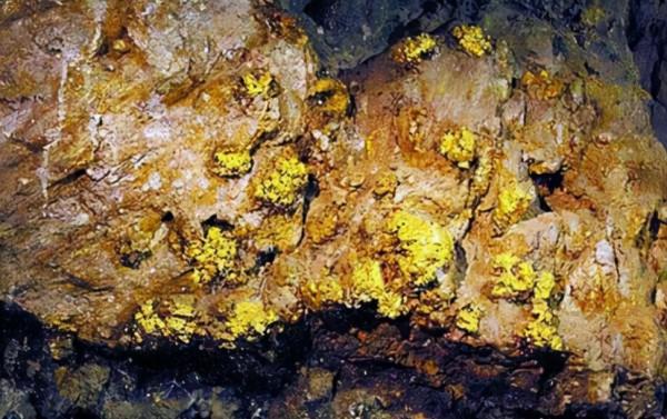 男子燒炭撿到的狗頭金，為何價值千萬？狗頭金是什麼？有多稀有？