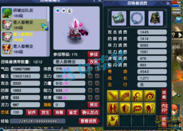 夢幻西遊：175群雄64強女兒村極品裝備加身，1只大海龜竟是服戰級