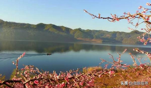 在那桃花盛開的地方 在那桃花盛開的地方