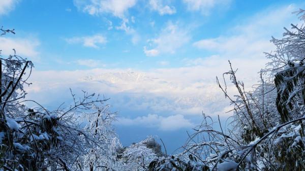 在家觀冬奧 聯想冰雪記憶