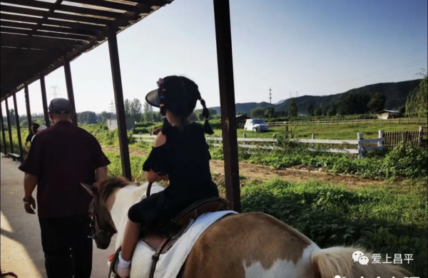 秋日農場嗨玩!露營野餐,種菜摘果,過嚮往的田園生活 秋日農場嗨玩!露營野餐,種菜摘果,過嚮往的田園生活