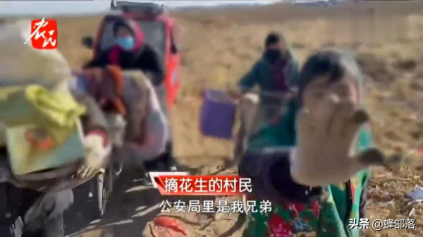 繼“偷菜團”後又出花生“撿拾團”，這次更橫，揚言報警也不怕