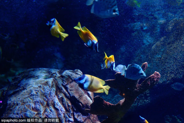 北京離“銀河”最近的地方!人少景美,就在三環邊上! 北京離“銀河”最近的地方!人少景美,就在三環邊上!