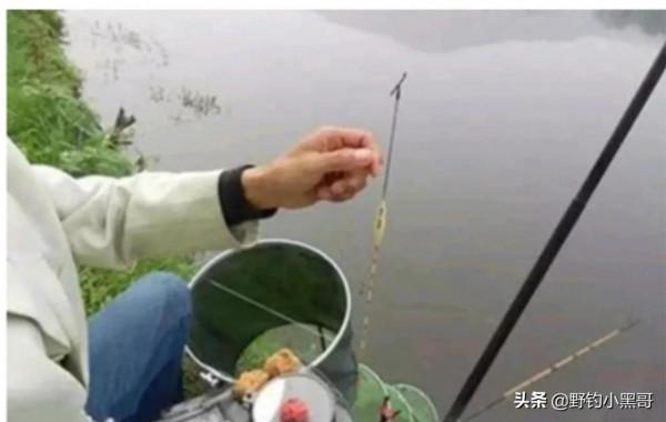 冬季釣魚，死守不是辦法，在這幾點及時做出改變，魚獲翻倍